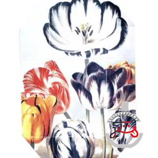 Print Collection Stella 01 (2011) Stella McCartney